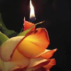 Meet your Posher, Viktoriya